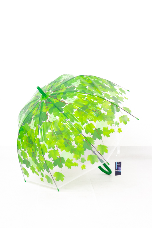 Парасолька (тростина)